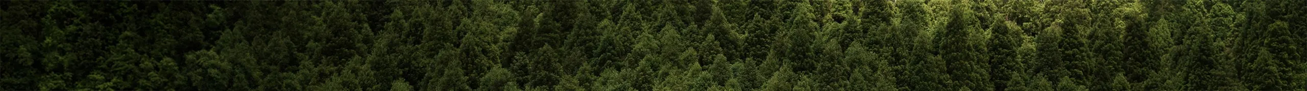 Design minimalista e durável da camiseta OITONOVE sendo desenvolvido por artesão